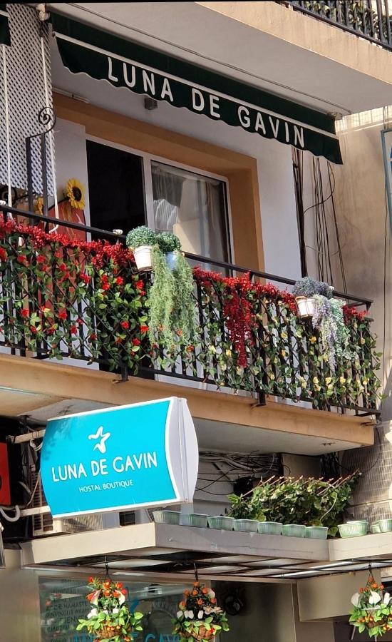 Hostal Boutique Luna De Gavin Cullera Eksteriør billede